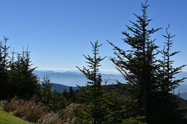 Clingmans Dome büyük Smoky Dağları Milli Parkı içinde