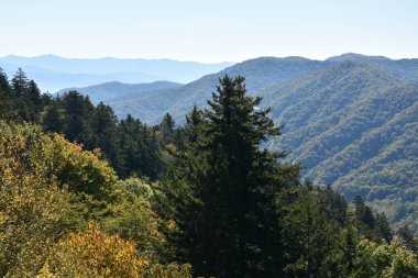 Büyük Smoky Dağları Milli Parkı Tennessee