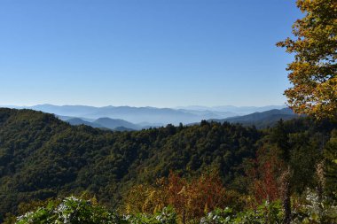 Büyük Smoky Dağları Milli Parkı Tennessee