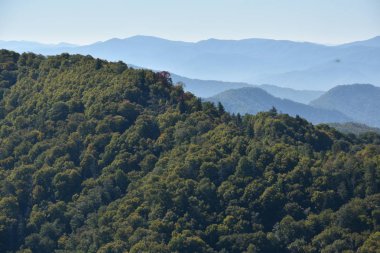 Büyük Smoky Dağları Milli Parkı Tennessee