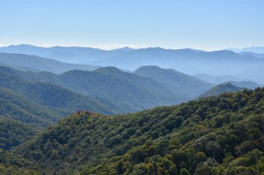 Büyük Smoky Dağları Milli Parkı Tennessee