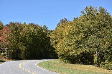 Büyük Smoky Dağları Milli Parkı Tennessee