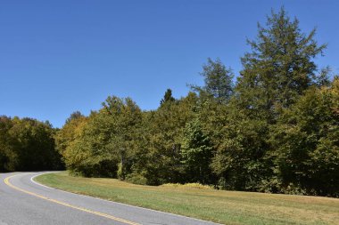 Büyük Smoky Dağları Milli Parkı Tennessee