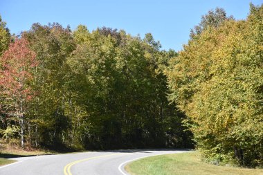 Büyük Smoky Dağları Milli Parkı Tennessee