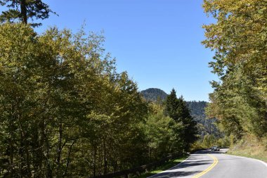 güzel sonbahar renkleri