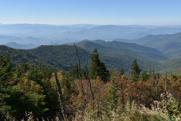 Clingmans dóm, a Great Smoky Mountains nemzeti parkban — Stock Fotó