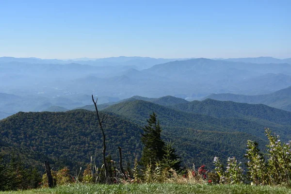 Cúpula Clingmans em Great Smoky Mountains National Park — Fotografia de Stock