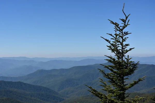 Cúpula Clingmans em Great Smoky Mountains National Park — Fotografia de Stock