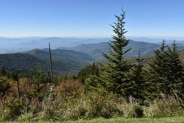 Cúpula Clingmans em Great Smoky Mountains National Park — Fotografia de Stock