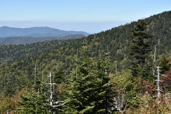 Clingmans Dome w parku narodowym Great Smoky Mountains — Zdjęcie stockowe