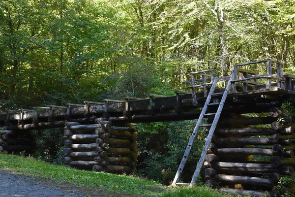 Zabytkowy Młyn Mingus w parku narodowym Great Smoky Mountains — Zdjęcie stockowe