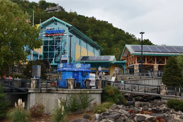 Aquarium of the Smokies in Gatlinburg, Tennessee — Stock Photo, Image