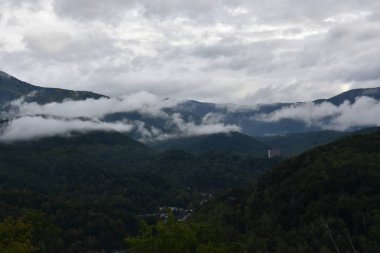 Büyük Smoky Dağları Milli Parkı Tennessee