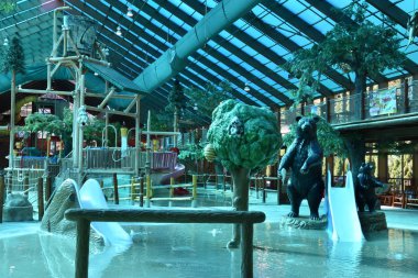 Westgate Smoky Mountain Resort Gatlinburg, Tennessee vahşi ayı Falls su parkı