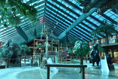 Westgate Smoky Mountain Resort Gatlinburg, Tennessee vahşi ayı Falls su parkı