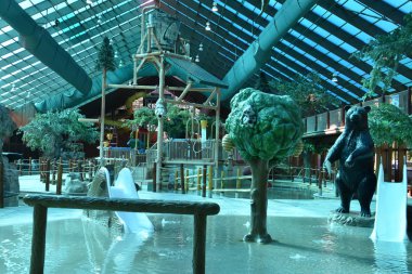 Westgate Smoky Mountain Resort Gatlinburg, Tennessee vahşi ayı Falls su parkı