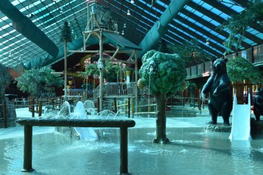 Westgate Smoky Mountain Resort Gatlinburg, Tennessee vahşi ayı Falls su parkı