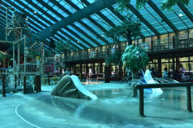 Westgate Smoky Mountain Resort Gatlinburg, Tennessee vahşi ayı Falls su parkı