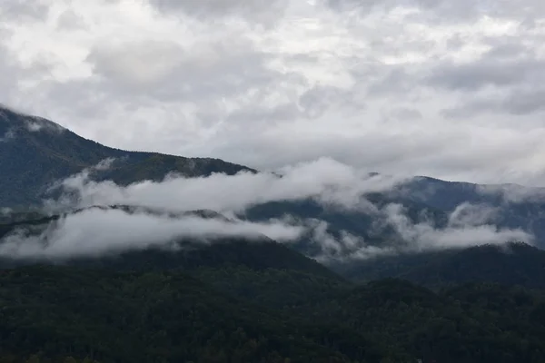Parque Nacional Great Smoky Mountains en Tennessee —  Fotos de Stock