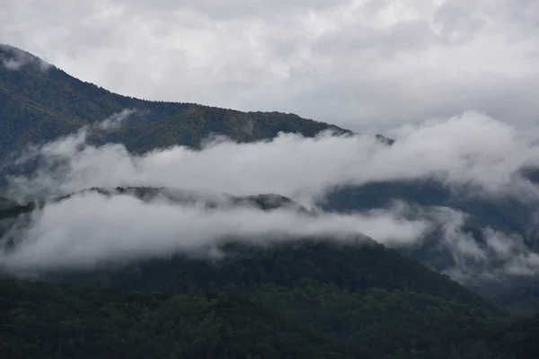 Nationalpark große rauchige Berge im Tennessee — Stockfoto