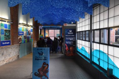 Norwalk, Connecticut deniz akvaryum