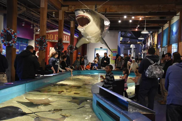 ノーウォーク、コネチカット州の海洋水族館 — ストック写真