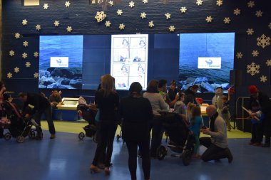 Deniz akvaryum Norwalk, Connecticut, New Years Eve kutlama