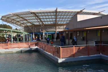 Connecticut mistik akvaryum