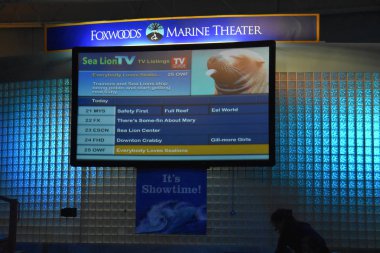 Connecticut mistik akvaryumda deniz aslanı göstermek