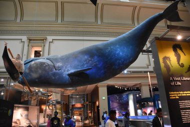 Washington, Dc doğa tarihi Ulusal Müzesi