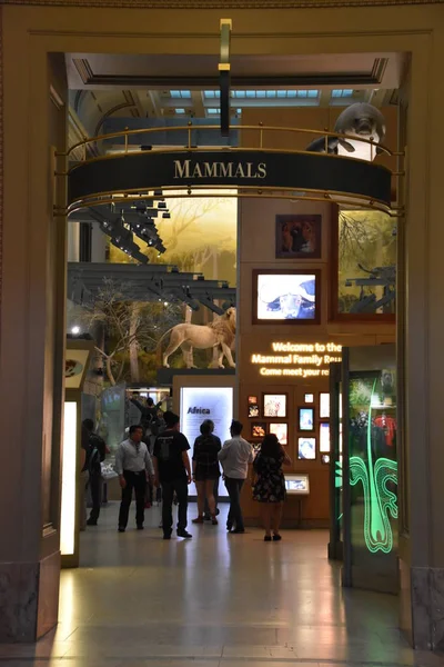 Nationales Naturkundemuseum in Washington, D.C. — Stockfoto