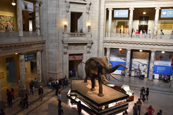 National Museum of Natural History in Washington, DC