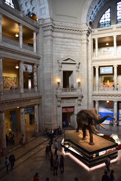 Национальный музей естественной истории в Вашингтоне
