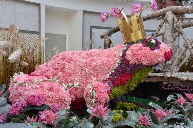 Konservatuvarı'nda Mgm Resort and Casino National Harbor Oxon Hill, Maryland