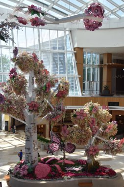 Konservatuvarı'nda Mgm Resort and Casino National Harbor Oxon Hill, Maryland