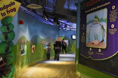 CAMDEN, NJ - 8 Nisan 2017 'de Camden, New Jersey' deki Macera Akvaryumu.