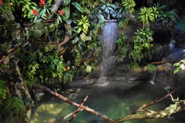 CAMDEN, NJ - 8 Nisan 2017 'de Camden, New Jersey' deki Macera Akvaryumu.