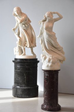 New York'ta Brooklyn Müzesi