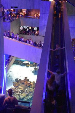 Baltimore, Maryland - Temmuz 2: Ulusal akvaryumda Inner Harbor içinde Baltimore, Maryland, 2 Temmuz 2017 üzerinde görüldüğü gibi. Liman bir tarihi Limanı, turistik ve dönüm noktası olduğunu.