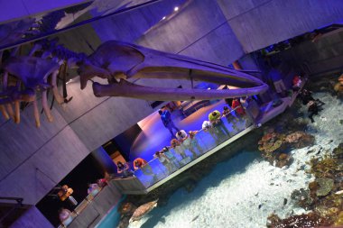 Baltimore, Maryland - Temmuz 2: Ulusal akvaryumda Inner Harbor içinde Baltimore, Maryland, 2 Temmuz 2017 üzerinde görüldüğü gibi. Liman bir tarihi Limanı, turistik ve dönüm noktası olduğunu.