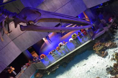 Baltimore, Maryland - Temmuz 2: Ulusal akvaryumda Inner Harbor içinde Baltimore, Maryland, 2 Temmuz 2017 üzerinde görüldüğü gibi. Liman bir tarihi Limanı, turistik ve dönüm noktası olduğunu.