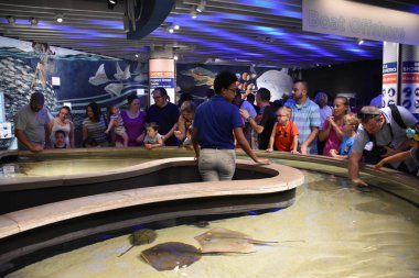 BALTIMORE, MARYLAND - JUL 2: The National Aquarium at the Inner Harbor in Baltimore, Maryland, as seen on July 2, 2017. The Harbor is a historic seaport, tourist attraction and landmark. clipart