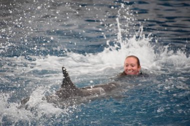Baltimore, Maryland Ulusal Akvaryumu 'nda yunus gösterisi