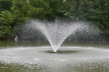 BIRMINGHAM, AL - 22 Temmuz 2017 'de Alabama' daki Birmingham Hayvanat Bahçesi.