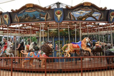 BIRMINGHAM, AL - 22 Temmuz 2017 'de Birmingham Hayvanat Bahçesi' nde görülen Atlıkarınca.