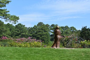 23 Temmuz 2017 'de Alabama' da Birmingham Botanik Bahçeleri 'nde görüldü.. 