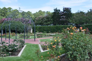 23 Temmuz 2017 'de Alabama' da Birmingham Botanik Bahçeleri 'nde görüldü.. 