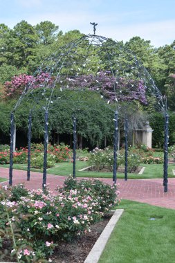 23 Temmuz 2017 'de Alabama' da Birmingham Botanik Bahçeleri 'nde görüldü.. 