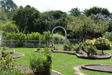 23 Temmuz 2017 'de Alabama' da Birmingham Botanik Bahçeleri 'nde görüldü.. 