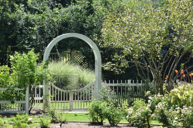 23 Temmuz 2017 'de Alabama' da Birmingham Botanik Bahçeleri 'nde görüldü.. 